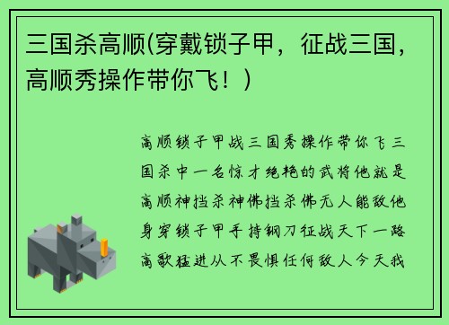 三国杀高顺(穿戴锁子甲，征战三国，高顺秀操作带你飞！)