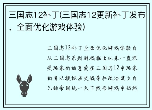 三国志12补丁(三国志12更新补丁发布，全面优化游戏体验)