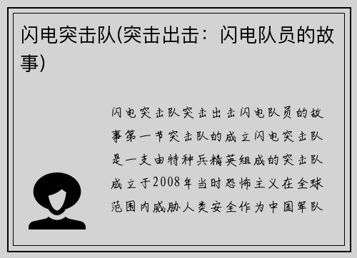 闪电突击队(突击出击：闪电队员的故事)